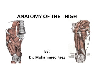 ANATOMY OF THE THIGH By: Dr: Mohammed Faez 
