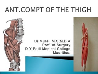 Dr.Murali.M.S;M.B.A 
Prof. of Surgery 
D Y Patil Medical College 
Mauritius. 
 