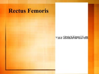 Rectus Femoris
QuickTime™ and aTIFF (Uncompressed) decompare needed to see this picture
 