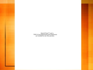 QuickTime™ and a
TIFF (Uncompressed) decompressor
are needed to see this picture.
 