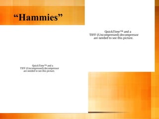 “Hammies”
QuickTime™ and a
TIFF (Uncompressed) decompressor
are needed to see this picture.
QuickTime™ and a
TIFF (Uncompressed) decompressor
are needed to see this picture.
 