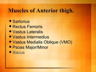 Muscles of Anterior thigh.
Sartorius
Rectus Femoris
Vastus Lateralis
Vastus Intermedius
Vastus Medialis Oblique (VMO)
Psoas Major/Minor
Iliacus
 