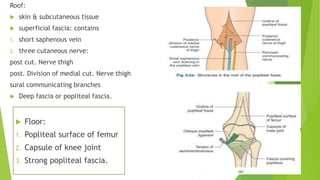 Roof:
 skin & subcutaneous tissue
 superficial fascia: contains
1. short saphenous vein
2. three cutaneous nerve:
post cut. Nerve thigh
post. Division of medial cut. Nerve thigh
sural communicating branches
 Deep fascia or popliteal fascia.
 Floor:
1. Popliteal surface of femur
2. Capsule of knee joint
3. Strong popliteal fascia.
 