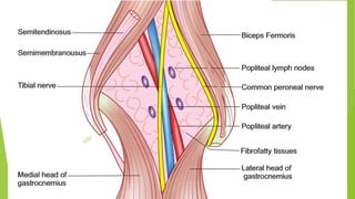Vessels arrangement at diff level
 