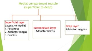 Medial compartment muscle
(superficial to deep)
Superficial layer
Lateral to medial
1.Pectineus
2.Adductor longus
3.Gracilis
Intermediate layer
• Adductor brevis
Deep layer
Adductor magnus
 