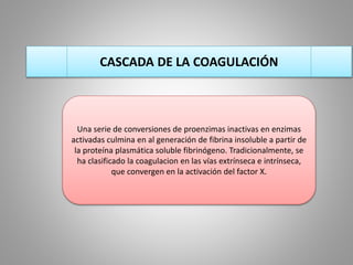 CASCADA DE LA COAGULACIÓN 
Una serie de conversiones de proenzimas inactivas en enzimas 
activadas culmina en al generación de fibrina insoluble a partir de 
la proteína plasmática soluble fibrinógeno. Tradicionalmente, se 
ha clasificado la coagulacion en las vías extrínseca e intrínseca, 
que convergen en la activación del factor X. 
 