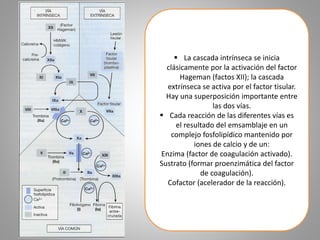  La cascada intrínseca se inicia 
clásicamente por la activación del factor 
Hageman (factos XII); la cascada 
extrínseca se activa por el factor tisular. 
Hay una superposición importante entre 
las dos vías. 
 Cada reacción de las diferentes vías es 
el resultado del emsamblaje en un 
complejo fosfolipídico mantenido por 
iones de calcio y de un: 
Enzima (factor de coagulación activado). 
Sustrato (formar proenzimática del factor 
de coagulación). 
Cofactor (acelerador de la reacción). 
 