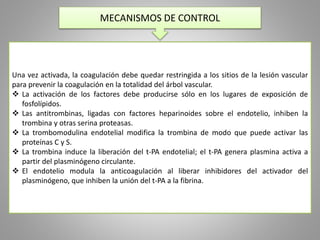 MECANISMOS DE CONTROL 
Una vez activada, la coagulación debe quedar restringida a los sitios de la lesión vascular 
para prevenir la coagulación en la totalidad del árbol vascular. 
 La activación de los factores debe producirse sólo en los lugares de exposición de 
fosfolípidos. 
 Las antitrombinas, ligadas con factores heparinoides sobre el endotelio, inhiben la 
trombina y otras serina proteasas. 
 La trombomodulina endotelial modifica la trombina de modo que puede activar las 
proteínas C y S. 
 La trombina induce la liberación del t-PA endotelial; el t-PA genera plasmina activa a 
partir del plasminógeno circulante. 
 El endotelio modula la anticoagulación al liberar inhibidores del activador del 
plasminógeno, que inhiben la unión del t-PA a la fibrina. 
 