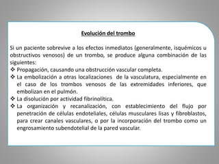 Evolución del trombo 
Si un paciente sobrevive a los efectos inmediatos (generalmente, isquémicos u 
obstructivos venosos) de un trombo, se produce alguna combinación de las 
siguientes: 
 Propagación, causando una obstrucción vascular completa. 
 La embolización a otras localizaciones de la vasculatura, especialmente en 
el caso de los trombos venosos de las extremidades inferiores, que 
embolizan en el pulmón. 
 La disolución por actividad fibrinolítica. 
 La organización y recanalización, con establecimiento del flujo por 
penetración de células endoteliales, células musculares lisas y fibroblastos, 
para crear canales vasculares, o por la incorporación del trombo como un 
engrosamiento subendotelial de la pared vascular. 
 