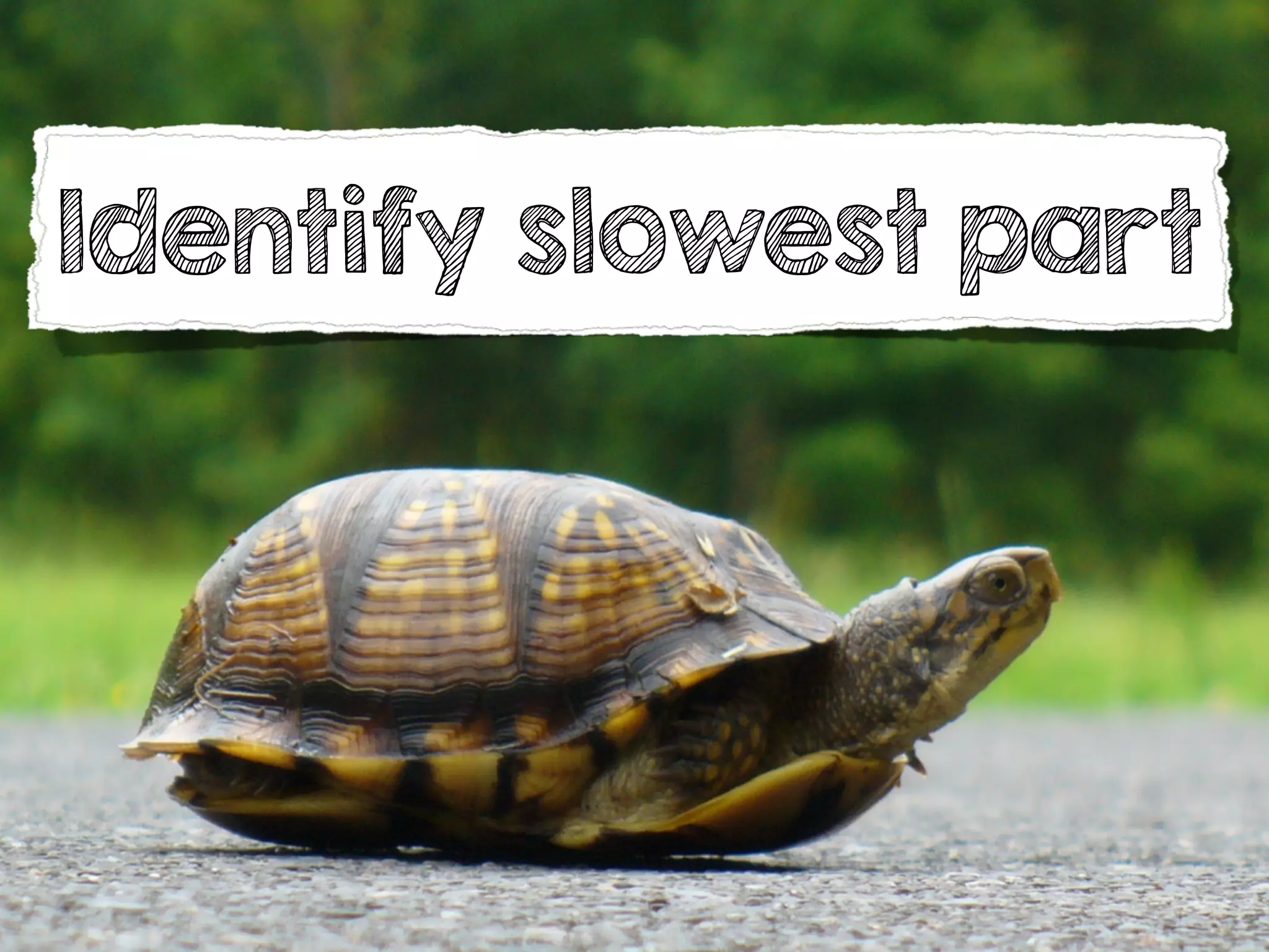 Identify slowest part