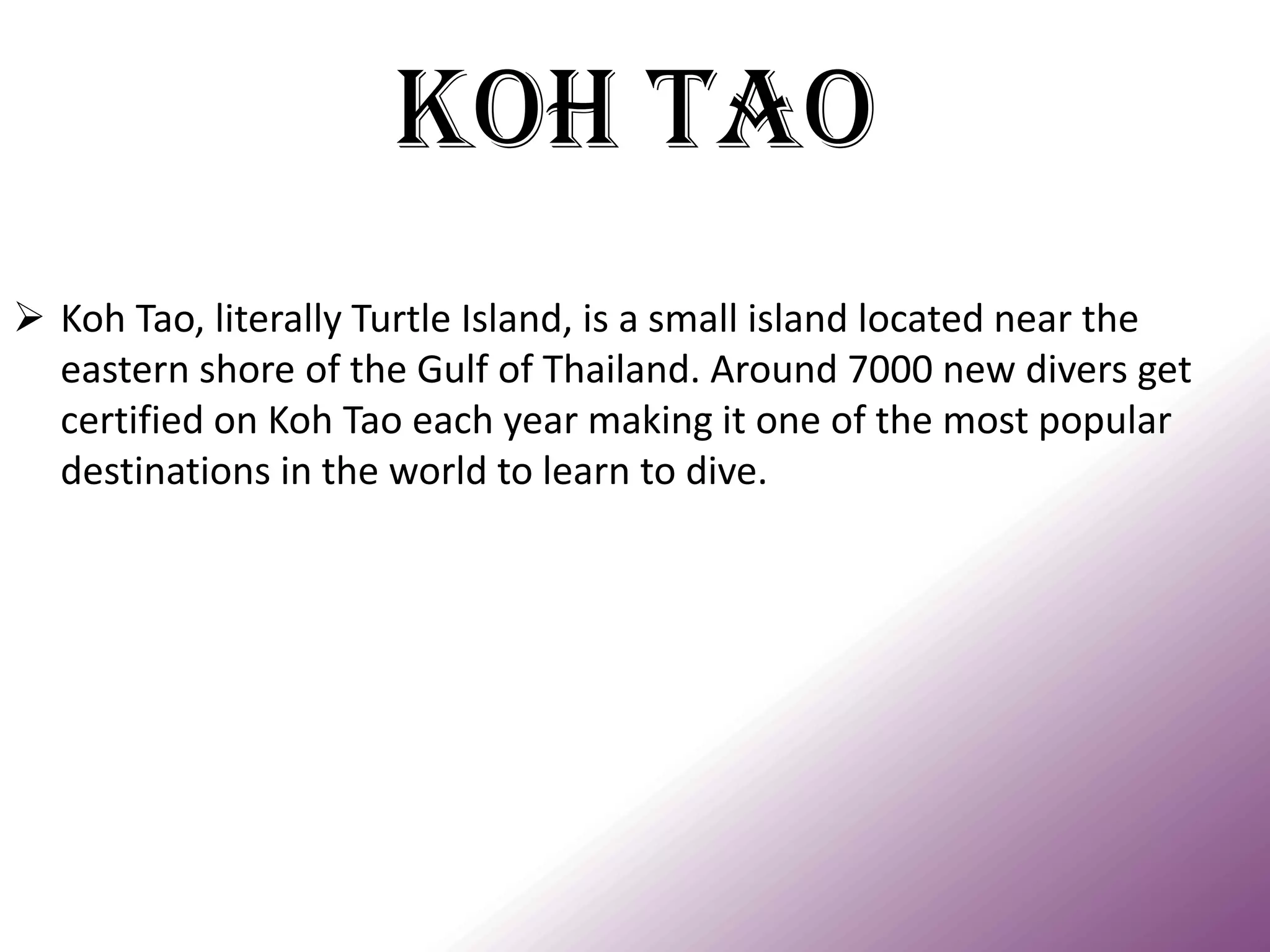 Koh Tao 
Koh Tao, literally Turtle Island, is a small island located near the eastern shore of the Gulf of Thailand. Around 7000 new divers get certified on Koh Tao each year making it one of the most popular destinations in the world to learn to dive.  