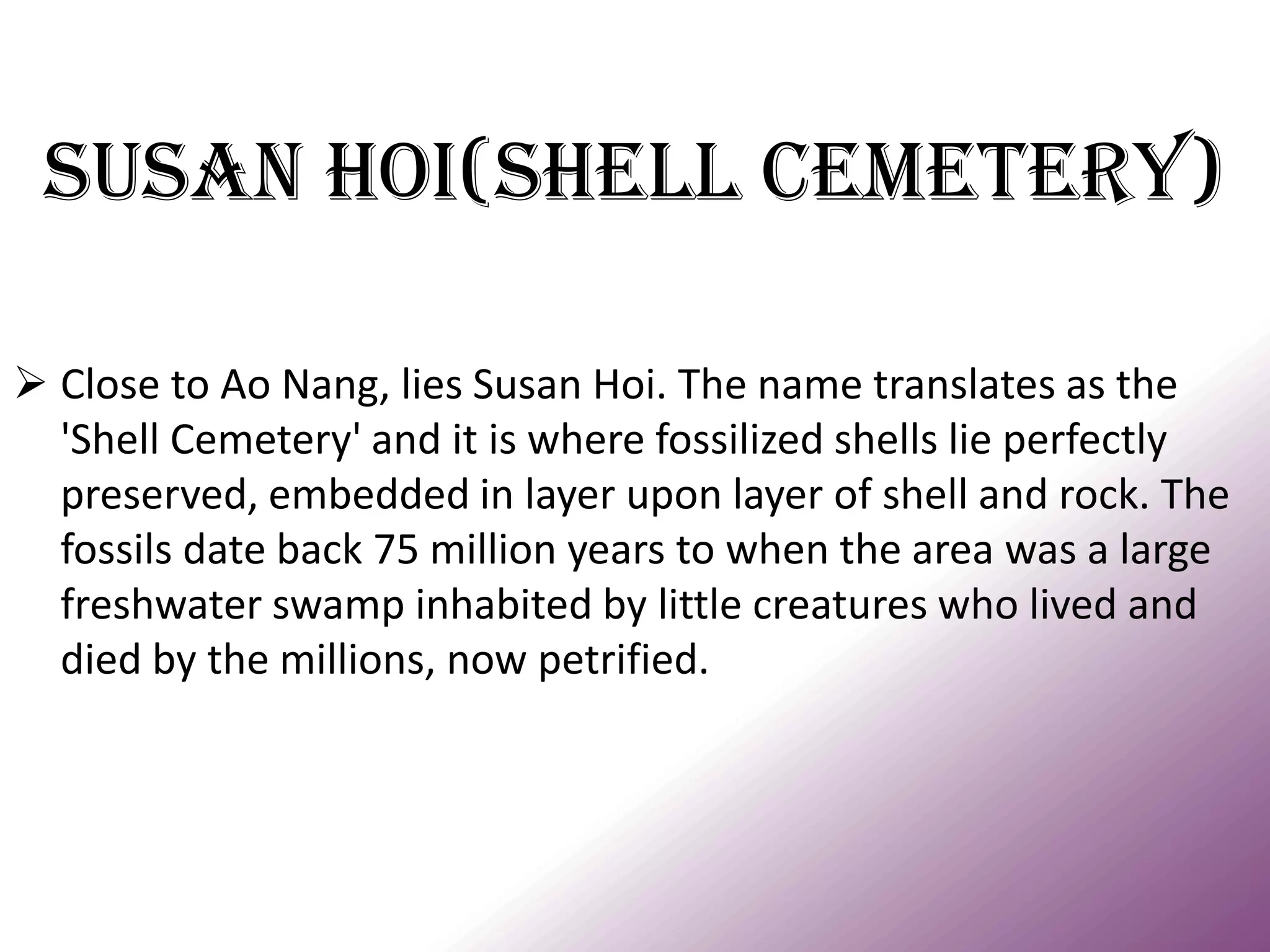 Susan hoi(shell cemetery) 
Close to Ao Nang, lies Susan Hoi. The name translates as the 'Shell Cemetery' and it is where fossilized shells lie perfectly preserved, embedded in layer upon layer of shell and rock. The fossils date back 75 million years to when the area was a large freshwater swamp inhabited by little creatures who lived and died by the millions, now petrified.  