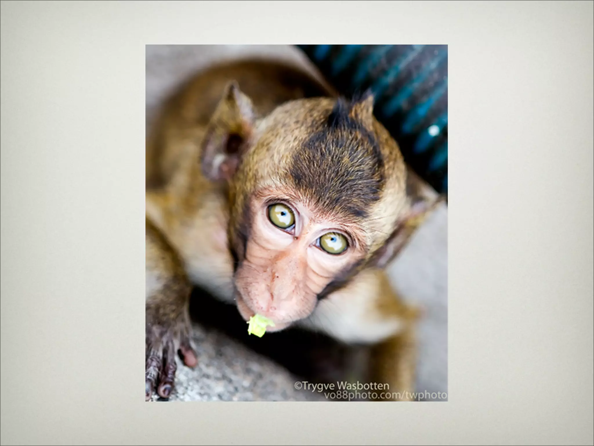 Thing's in ChonBuri Thailand