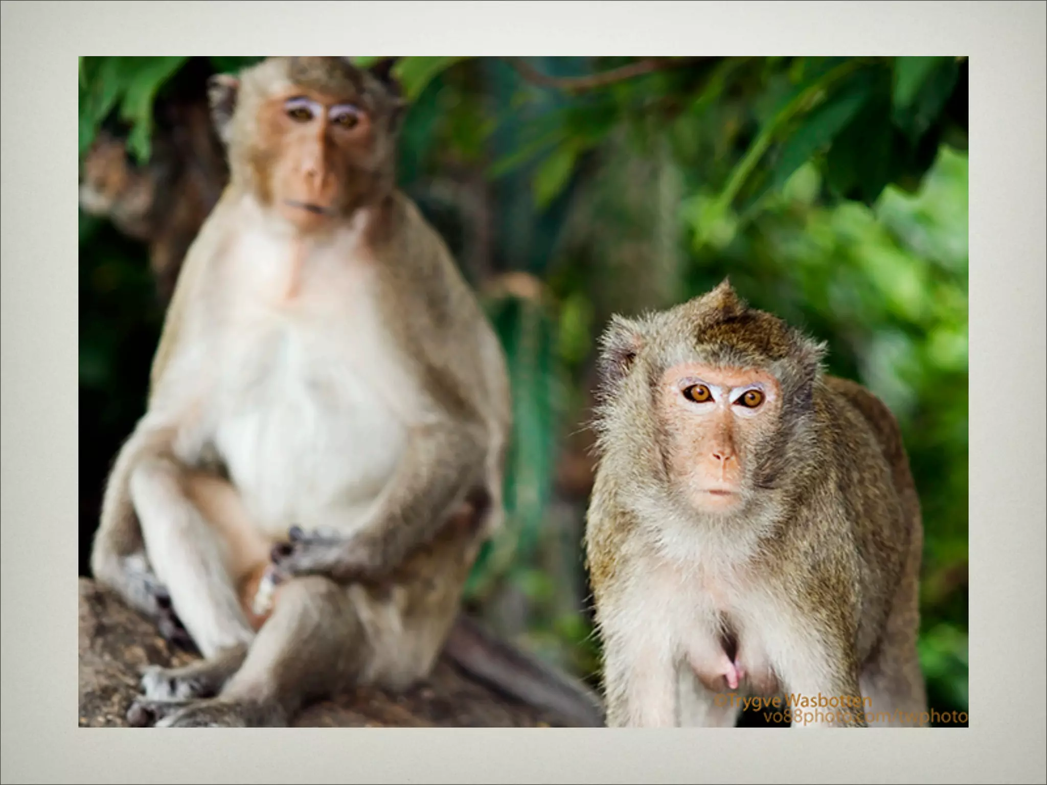 Thing's in ChonBuri Thailand