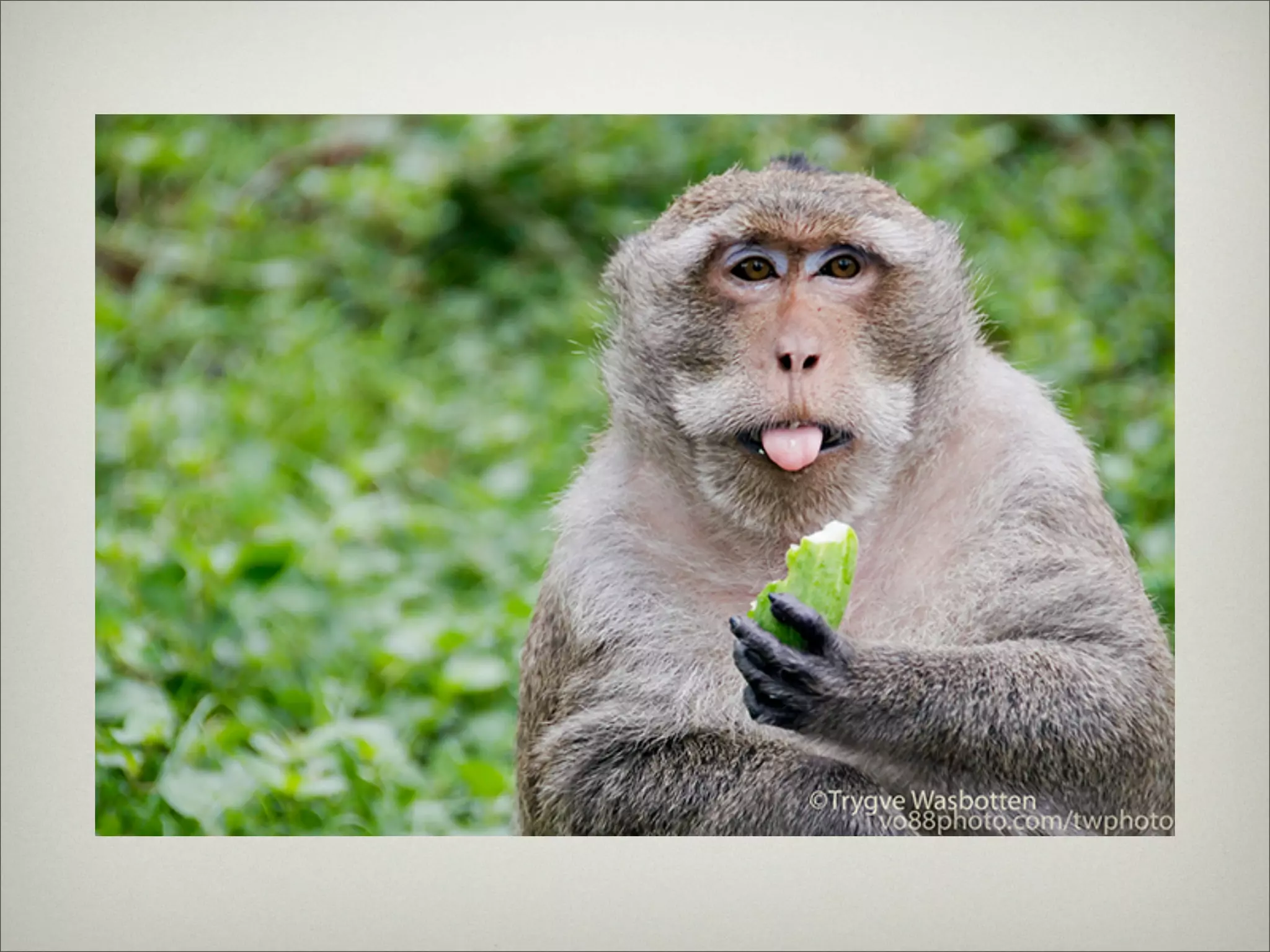 Thing's in ChonBuri Thailand