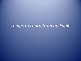 Things to Learn from an Eagle 