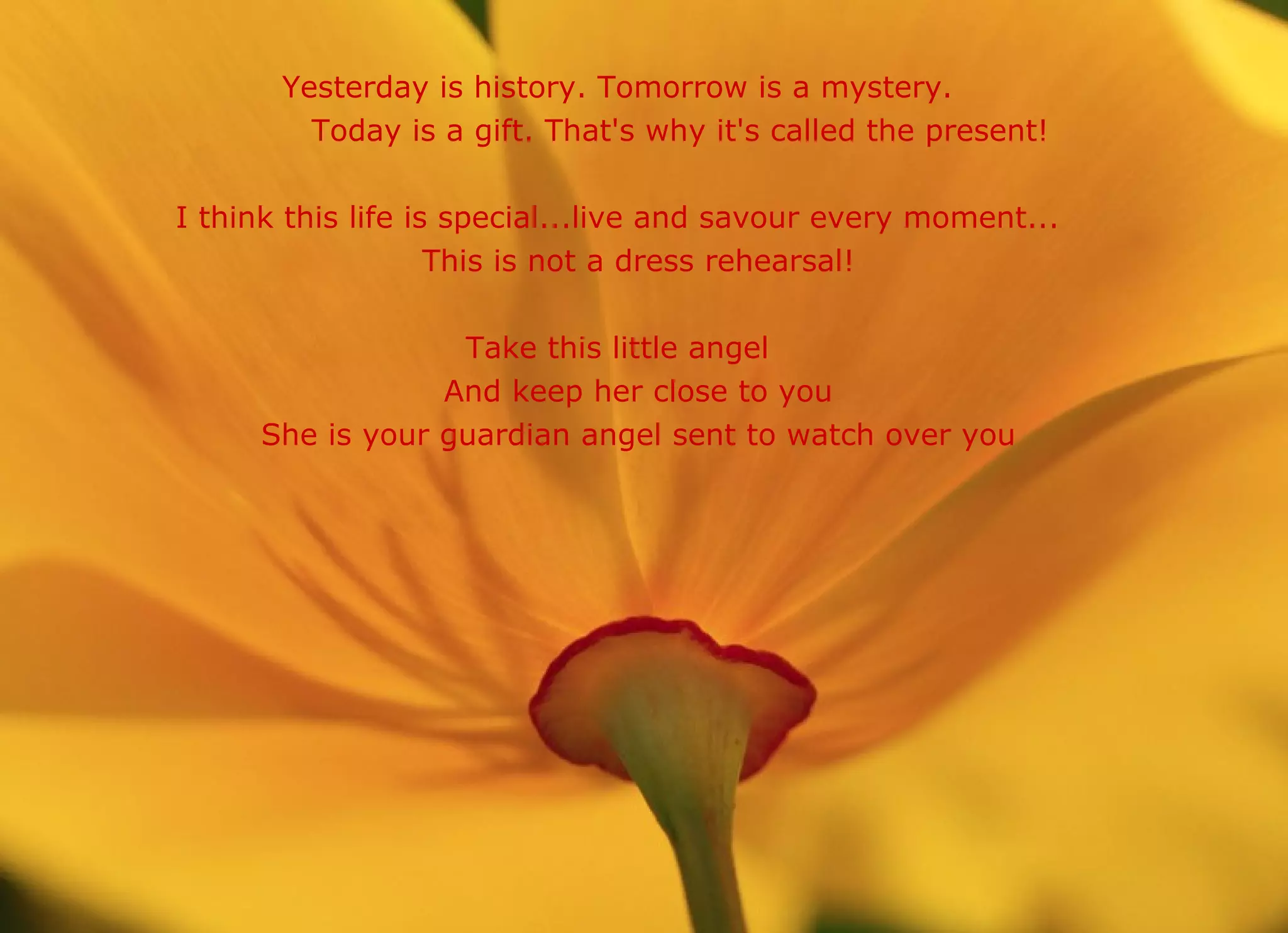 Yesterday is history. Tomorrow is a mystery. Today is a gift. That's why it's called the present! I think this life is special...live and savour every moment... This is not a dress rehearsal! Take this little angel And keep her close to you She is your guardian angel sent to watch over you 