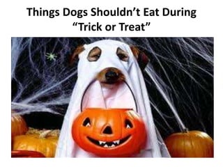 Things Dogs Shouldn’t Eat During
“Trick or Treat”
 