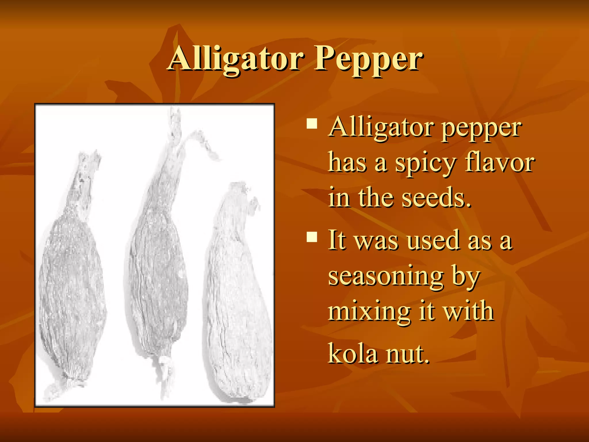 Alligator Pepper Alligator pepper has a spicy flavor in the seeds.  It was used as a seasoning by mixing it with  kola nut.   