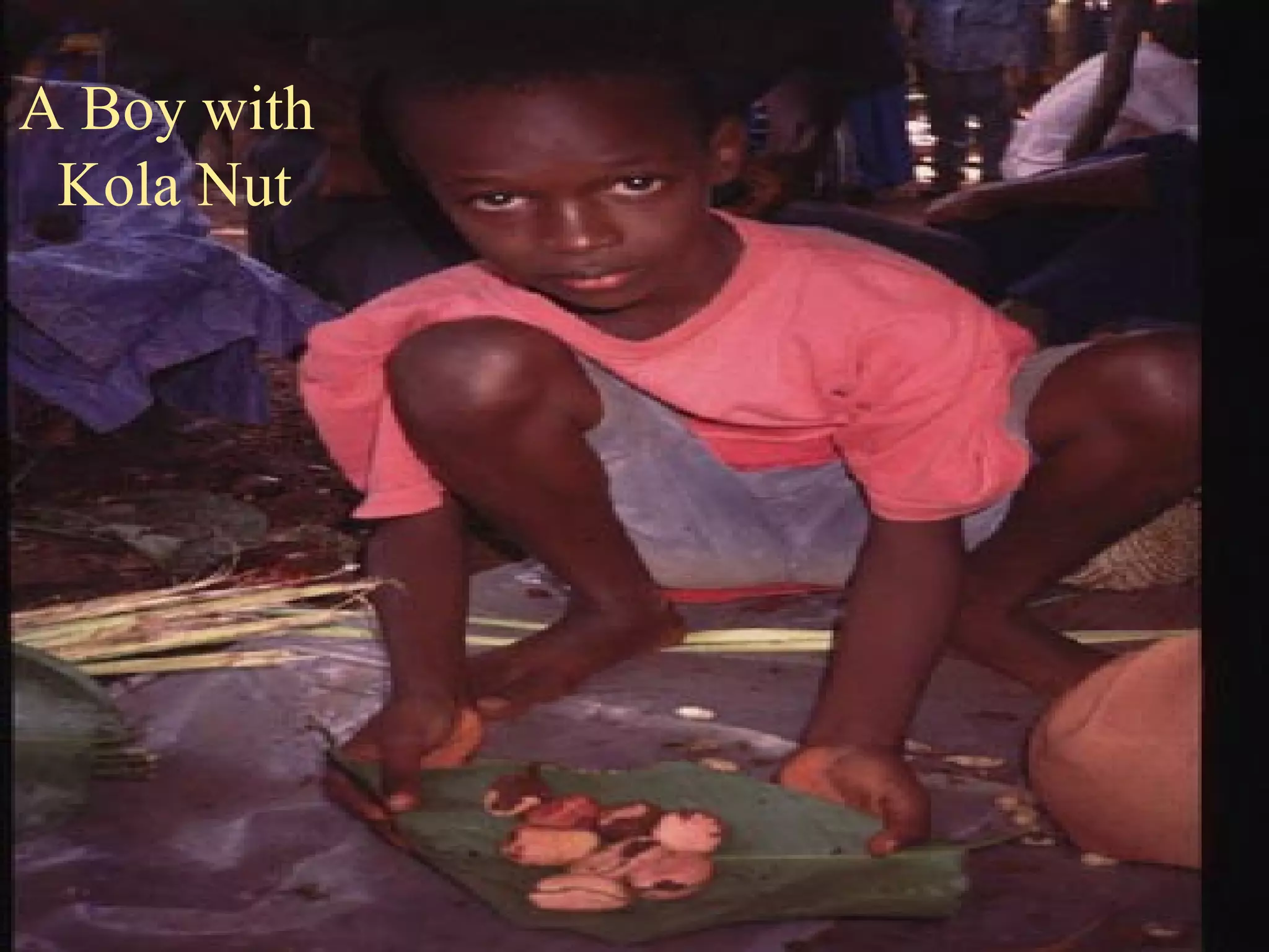 A Boy with  Kola Nut 