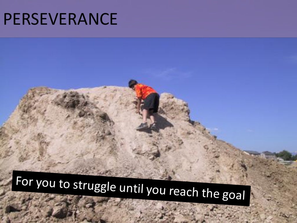 PERSEVERANCE