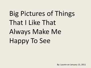 Big Pictures of Things That I Like That Always Make Me Happy To See By: Lauren on January 13, 2011 