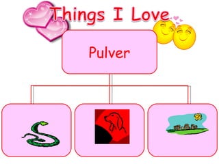 Pulver 
