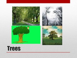 Trees
 