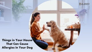 Things in Your House
That Can Cause
Allergies in Your Dog
 