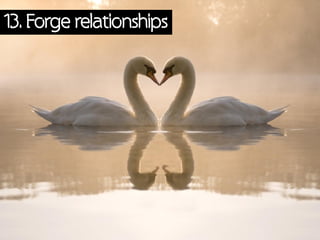 13. Forge relationships
 