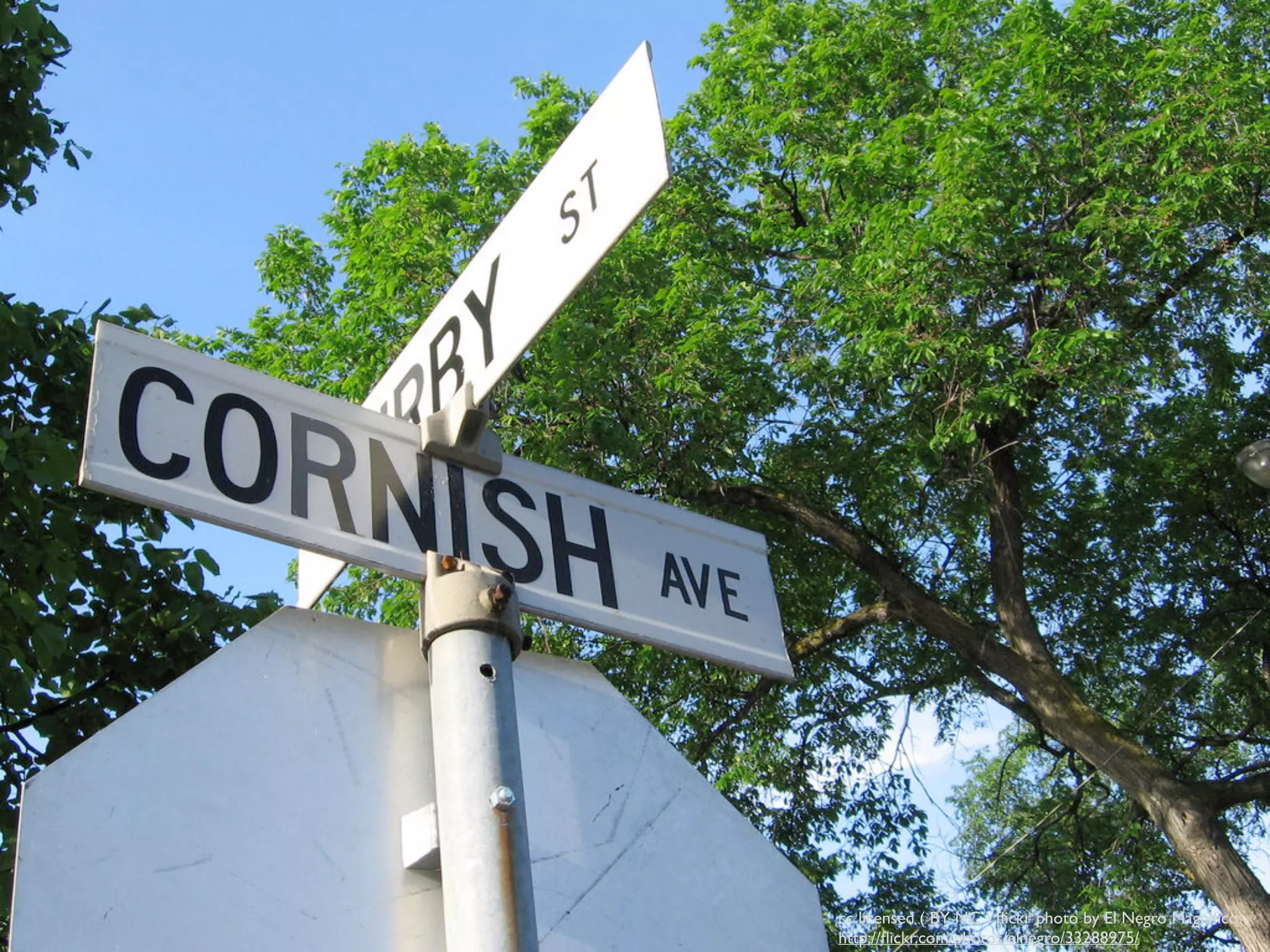 cc licensed ( BY NC ) ﬂickr photo by El Negro Magniﬁco:
http://ﬂickr.com/photos/elnegro/33288975/
 