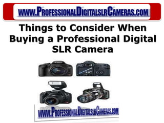 Things to Consider When Buying a Professional Digital SLR Camera 