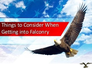 Things to Consider When
Getting into Falconry
 