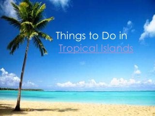 Things to Do in
Tropical Islands
 