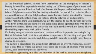 At the botanical garden, visitors lose themselves in the tranquility of nature’s
beauty. It would be impossible to miss seeing the different types of palm trees and
cacti in the garden. Palmitos Park also houses the largest orchid collection on the
island. Dolphins are one of the fascinating animals in the world. For centuries, there
are countless tales of how dolphins have saved humans lost at sea. And for reasons
science could not explain, there is a natural affinity between us and dolphins.
At the Palmitos Park Dolphinarium, we get the chance to see them with our own
eyes. Even better, for an extra fee, we could have photo opportunities with these
incredible animals. Those who are active on social media would, no doubt, share
the thrilling experience with online friends.
Exploring many of nature’s wondrous creations seldom happen in just a single day.
But at Palmitos Park, that is what visitors experience. It’s inviting and peaceful
environment is home to exotic and delicate wildlife, animals we might never have a
chance to see again.
The park is a break from the usual beach attractions all over the Canaries. In only
half a day, this is where we could feast upon the beauty of animals from South
Africa, Asia, and other parts of the world.
More than sightseeing, it is also the intention of the park to educate and enlighten
 