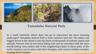 Tamadaba Natural Park
In a small continent, where does one go to experience the most stunning
landscapes? Tamadaba Natural Park is Gran Canaria’s best bet. The oldest and
biggest forest in the island is also the home of thousands of endemic plants and
animals. Venture into its tree-lined hiking trail and be rewarded with the most
breath-taking views below and of the neighboring island. In these parts of the
earth, travelers can be alone with their thoughts, with nature’s hidden wonders
keeping them company.
 