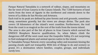 Parque Natural Tamadaba is a network of valleys, slopes, and mountains on
the far west of Gran Canaria in the Canary Islands. The 7,500 hectares of land
starts from the town of Agaete in the northwest and extends down to the
towns of La Aldea de San Nicolas and Artenara.
Each trail to its peak are defined by pine forests and arid grounds, sometimes
steep, sometimes gravelly, but the views are always divine. The park also
covers 18 kilometers of the island’s west coastline. Furthermore, the trail
from the coast is as magical as the rest of the trails from the towns inland.
The area is also part of the list of places in Gran Canaria which earned the
UNESCO Biosphere Reserve qualification. So, when hikers climb the
dangerous cliff off the west coast near the Guayedra Valley, it’s not surprising
to find endangered plants and animal species native to the island.
In Tamadaba Parque Natural, every cascading valley and mountain kissing the
passing clouds spell out tranquility. With lots of things to do and scenery so
grand, it’s a destination where families, couples, groups, and individuals
surely love.
 