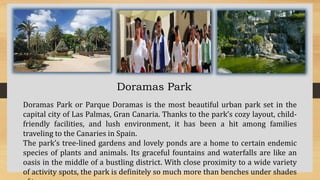 Doramas Park
Doramas Park or Parque Doramas is the most beautiful urban park set in the
capital city of Las Palmas, Gran Canaria. Thanks to the park’s cozy layout, child-
friendly facilities, and lush environment, it has been a hit among families
traveling to the Canaries in Spain.
The park’s tree-lined gardens and lovely ponds are a home to certain endemic
species of plants and animals. Its graceful fountains and waterfalls are like an
oasis in the middle of a bustling district. With close proximity to a wide variety
of activity spots, the park is definitely so much more than benches under shades
 