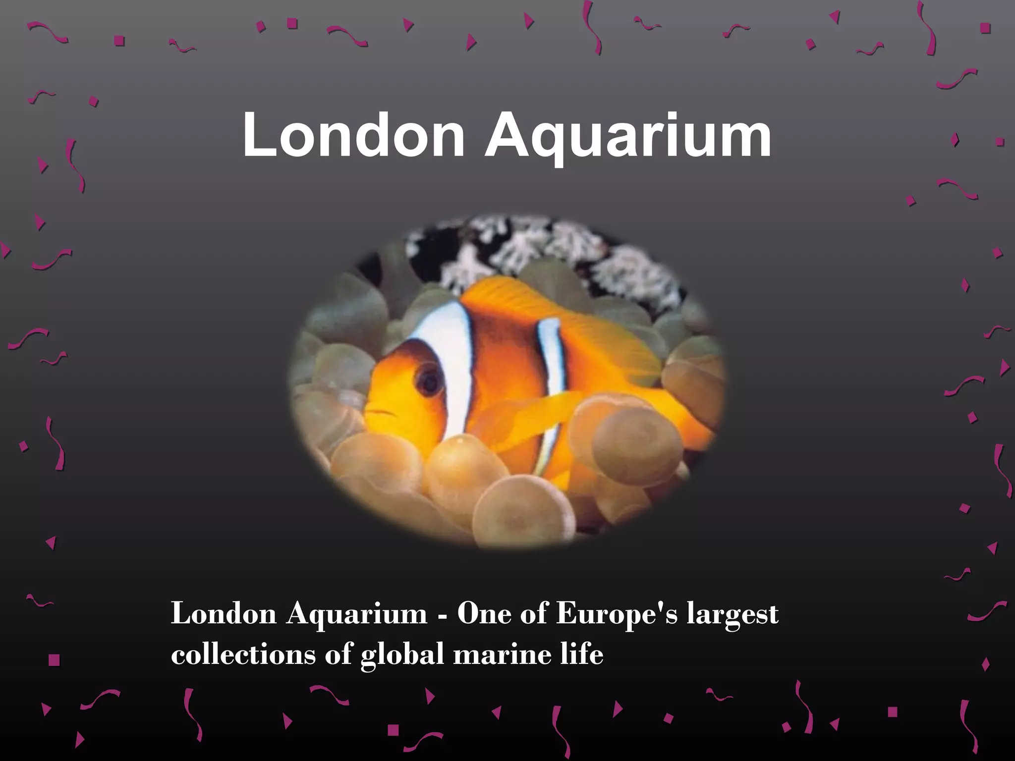 London Aquarium




London Aquarium - One of Europe's largest
collections of global marine life
 