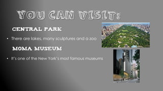 YOU CAN VISIT:
Central Park
• There are lakes, many sculptures and a zoo
MoMa Museum
• It’s one of the New York’s most famous museums
 