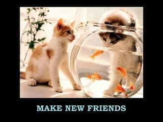 MAKE NEW FRIENDS
 