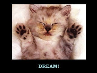 DREAM!
 