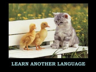 LEARN ANOTHER LANGUAGE
 