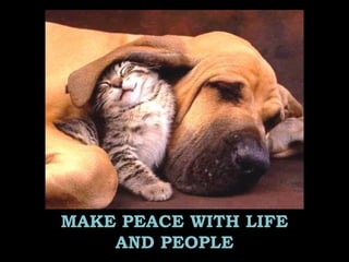 MAKE PEACE WITH LIFE
AND PEOPLE
 