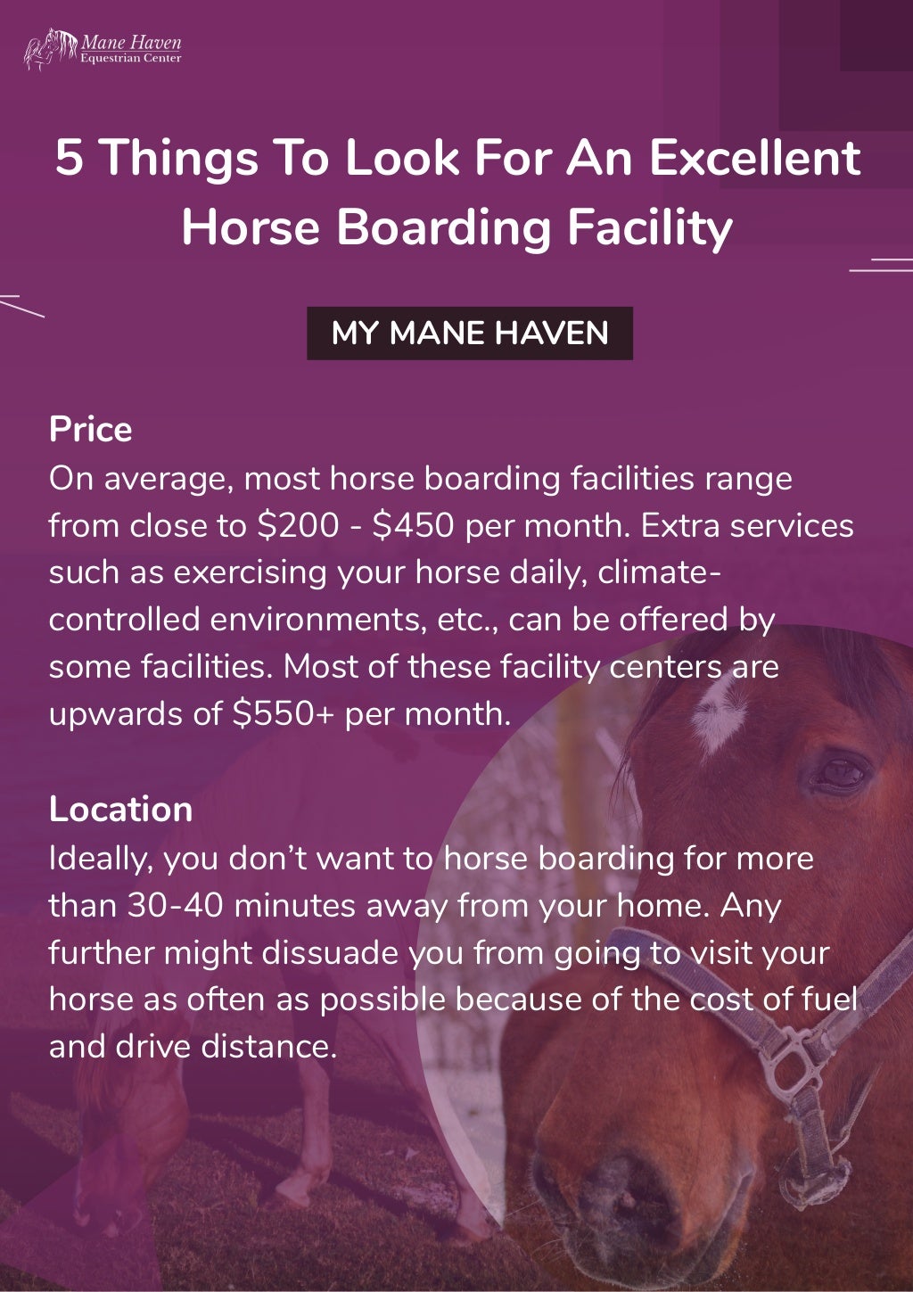 Things To Look For An Excellent Horse Boarding Facility My Mane Haven