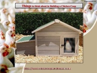 Things to think about in Building a Chicken Coop
 