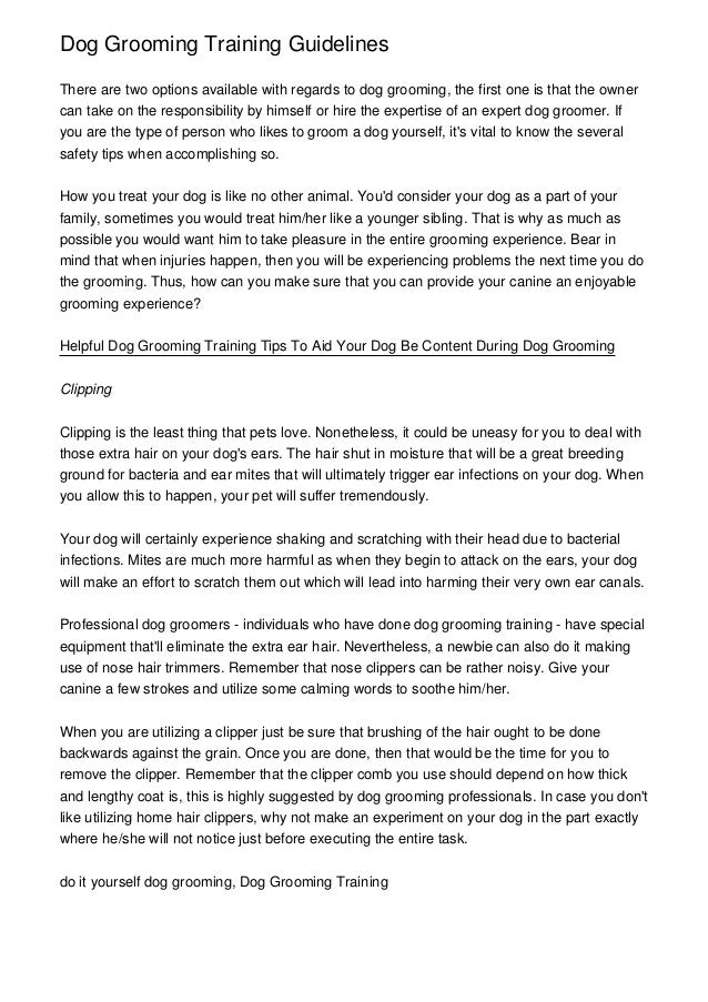 Dog Grooming Training Guidelines