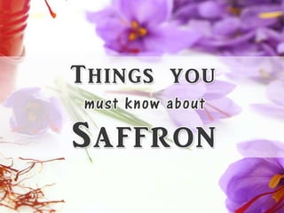 Things you must know about saffron  