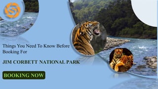 JIM CORBETT NATIONAL PARK
Things You Need To Know Before
Booking For
BOOKING NOW
 