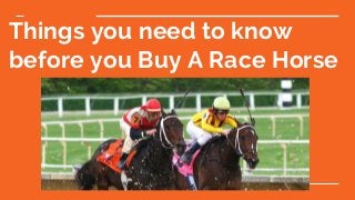 Things you need to know
before you Buy A Race Horse
 